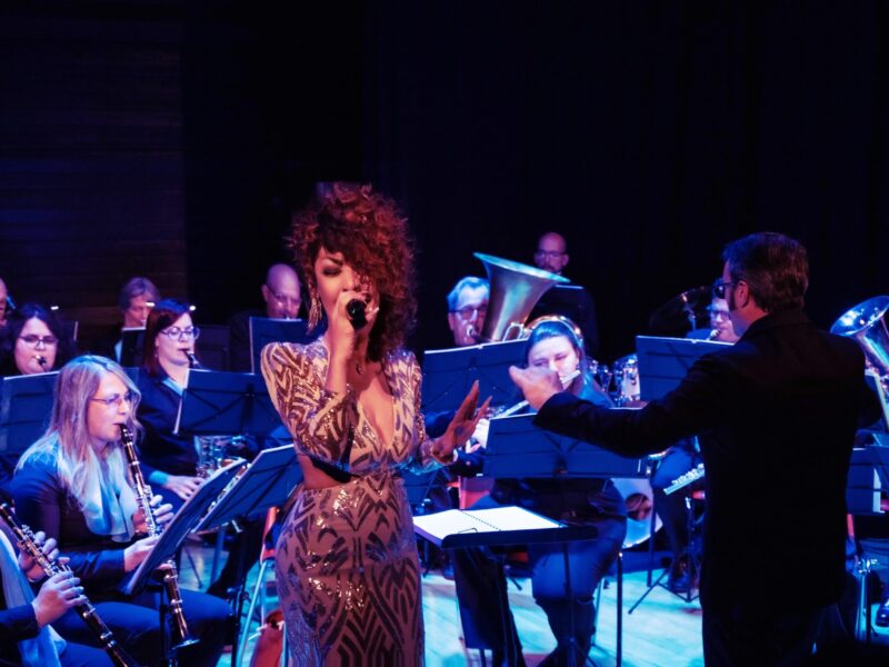 Tributo a Whitney Houston